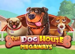 thevibezen: The Dog House Megaways